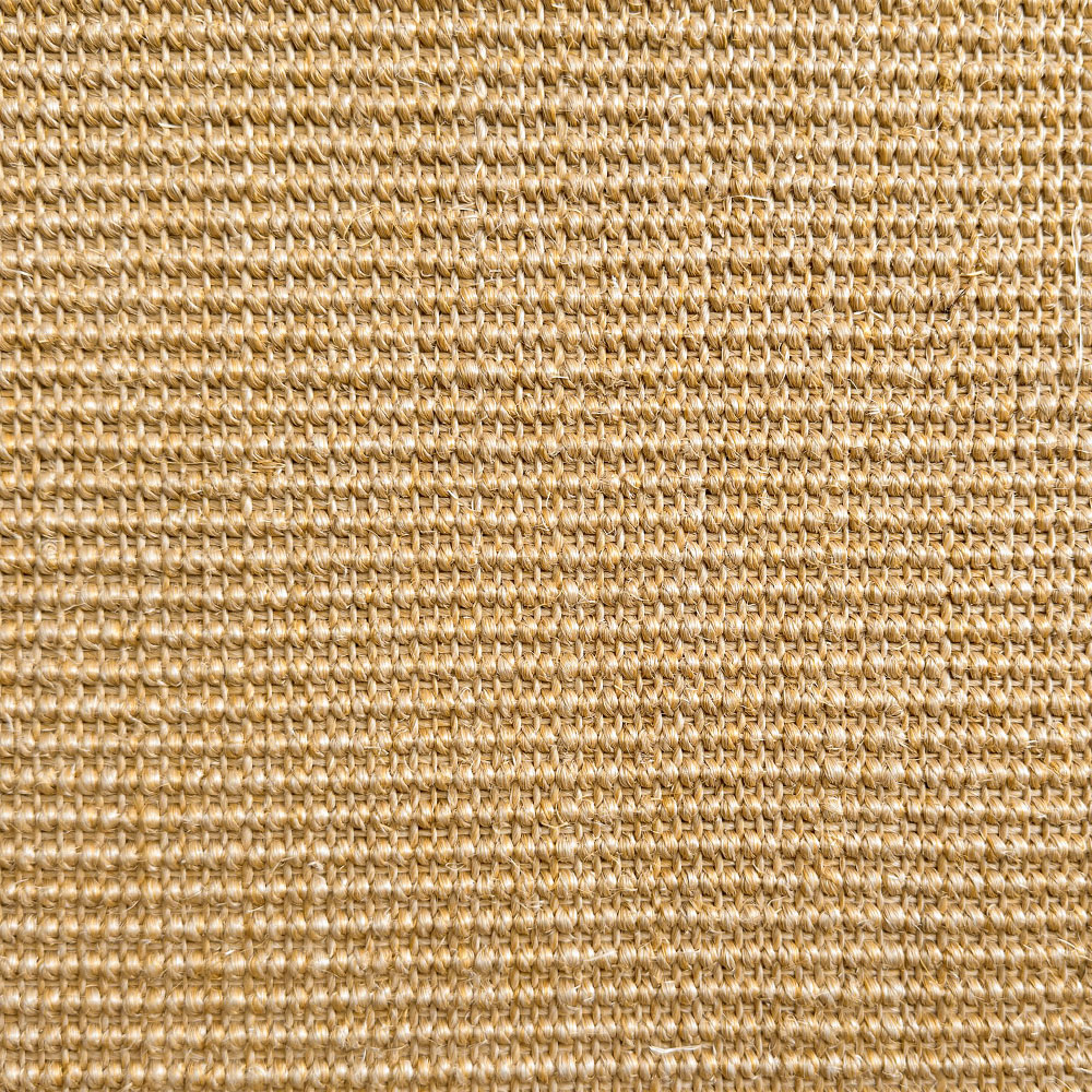 Y4